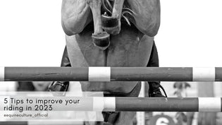  5 Tips to improve your riding in 2023 - Equine Culture