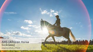  AHS (African Horse Sickness) - Equine Culture