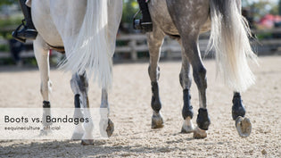  Boots vs. Bandages - Equine Culture