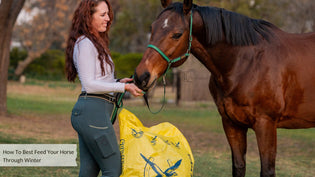  How To Best Feed Your Horse Through Winter. Author- Adèle McLeod - Equine Culture