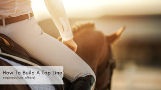  How To Build A Top Line - Equine Culture