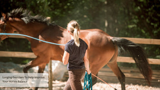  Lunging Exercises To Help Improve Your Horses Balance - Equine Culture