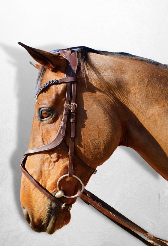 Cross - Type Serene Bridle - Equine Culture