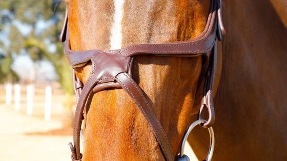 Cross - Type Serene Bridle - Equine Culture