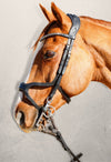 Serene Bridle - Equine Culture